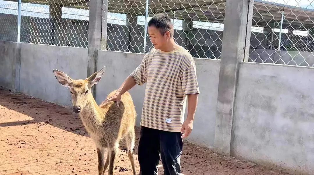 波音平台游戏下载